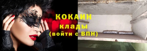 твердый Богданович