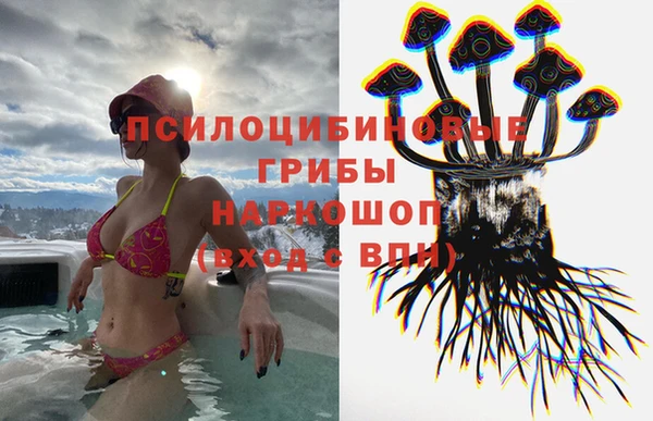 твердый Богданович