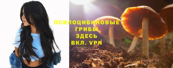 мдма Богородск