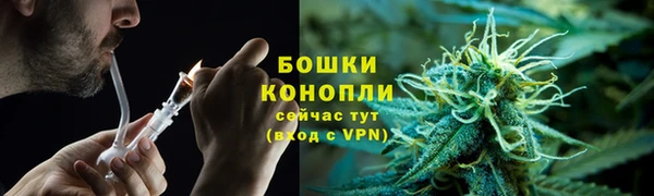 прущая мука Богородицк