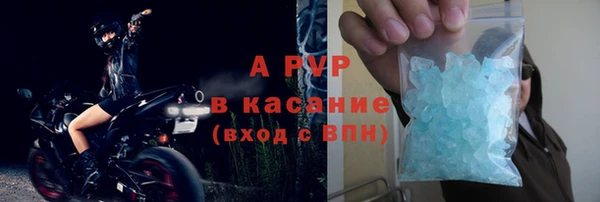 твердый Богданович