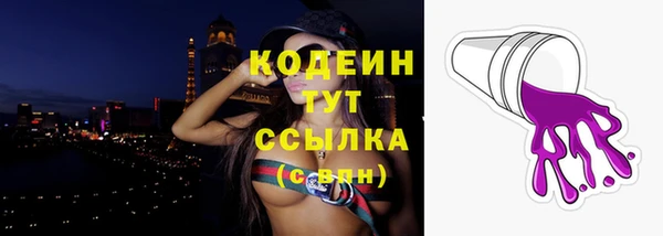 твердый Богданович