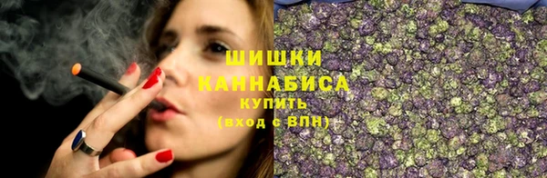 твердый Богданович