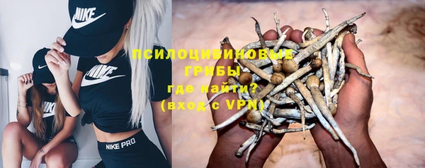 прущая мука Богородицк