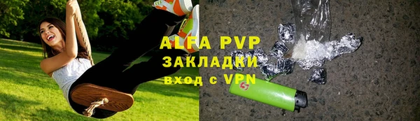 твердый Богданович