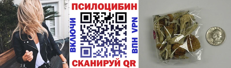 Галлюциногенные грибы Cubensis  Волжск 